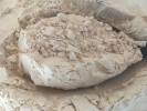 Flohsamenschalen Bio 200 gr