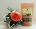 Vitalpilz Cordyceps Bio  50 Kapseln