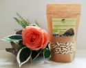 Vitalpilz Polyporus Bio  50 Kapseln