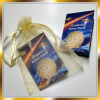 Goldenes Ashtar Shield Weihnachtsedition 2025