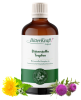 BitterKraft! Original - BIO - (100ml)